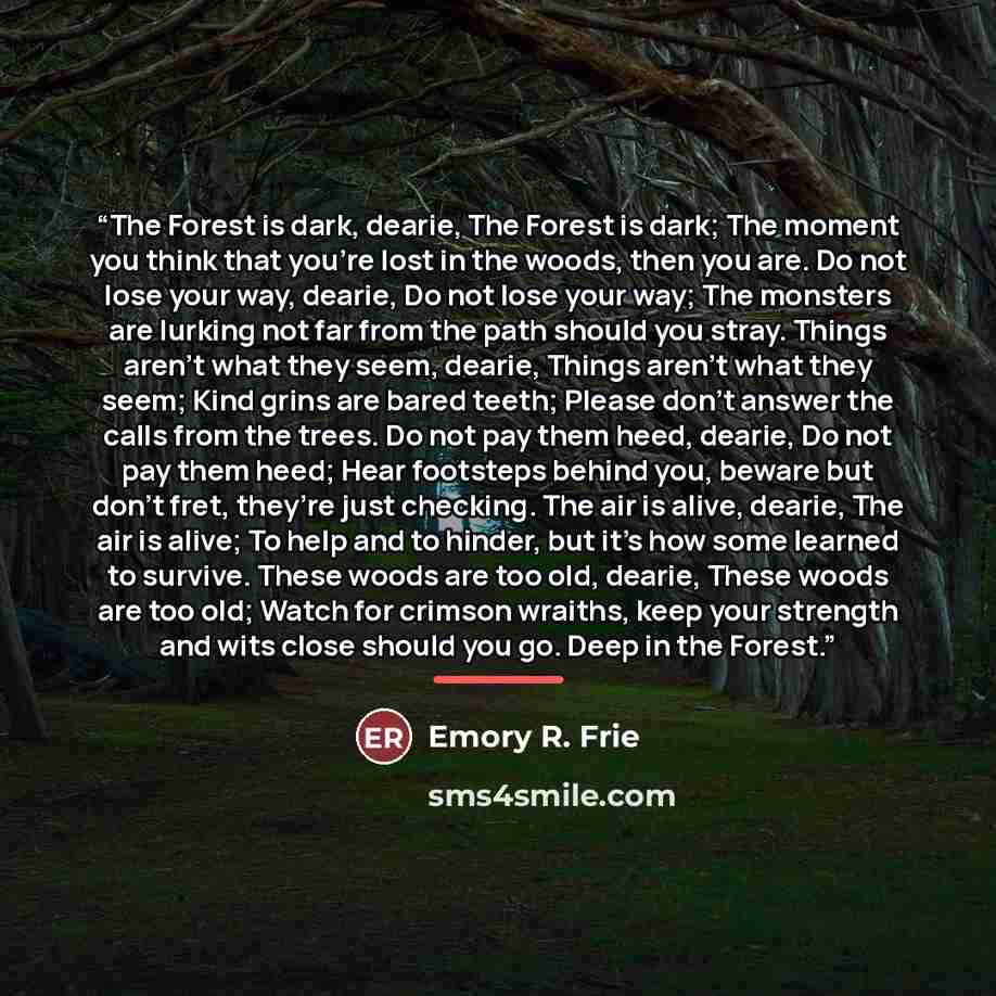 “The Forest is dark, dearie, The Forest is dark; The moment you think that you’re lost in the woods, then you are. Do not lose your way, dearie, Do not lose your way; The monsters are lurking not far from the path should you stray. Things aren’t what they seem, dearie, Things aren’t what they seem…” quote by Emory R. Frie