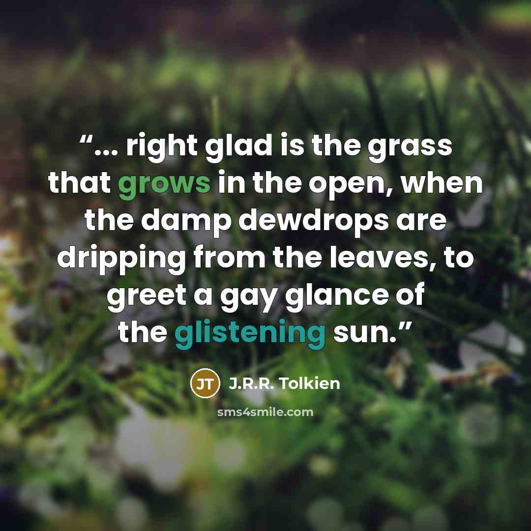 “... right glad is the grass that grows in the open, when the damp dewdrops are dripping from the leaves, to greet a gay glance of the glistening sun.” quote by J.R.R. Tolkien