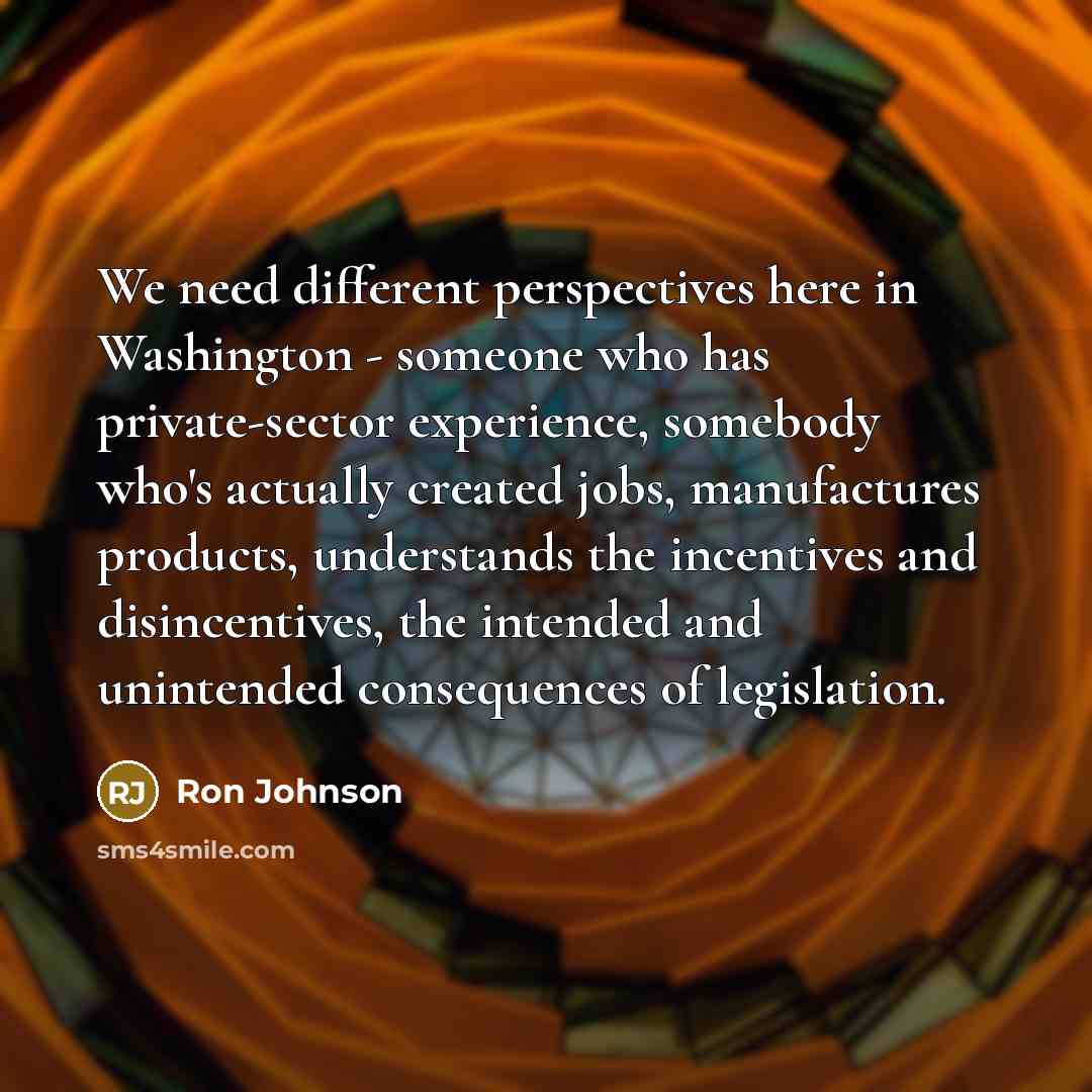“We need different perspectives here in Washington - someone who has private-sector experience, somebody who's actually created jobs, manufactures products, understands the incentives and disincentives, the intended and unintended consequences of legislation.” quote by Ron Johnson