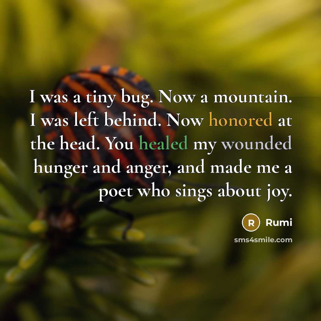 “I was a tiny bug. Now a mountain. I was left behind. Now honored at the head. You healed my wounded hunger and anger, and made me a poet who sings about joy.” quote by Rumi