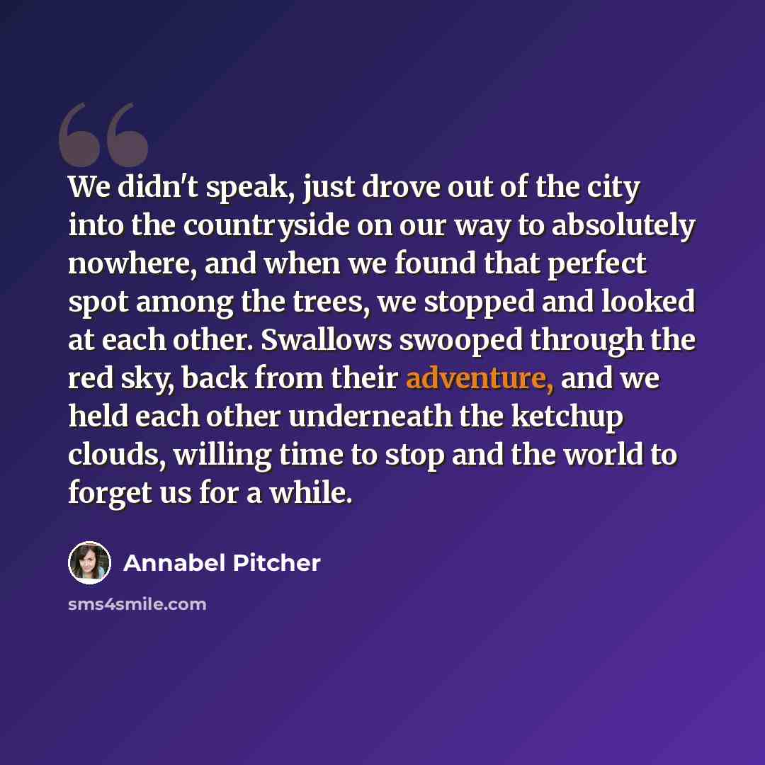 “We didn't speak, just drove out of the city into the countryside on our way to absolutely nowhere, and when we found that perfect spot among the trees, we stopped and looked at each other. Swallows swooped through the red sky, back from their adventure, and we held each other underneath the…” quote by Annabel Pitcher