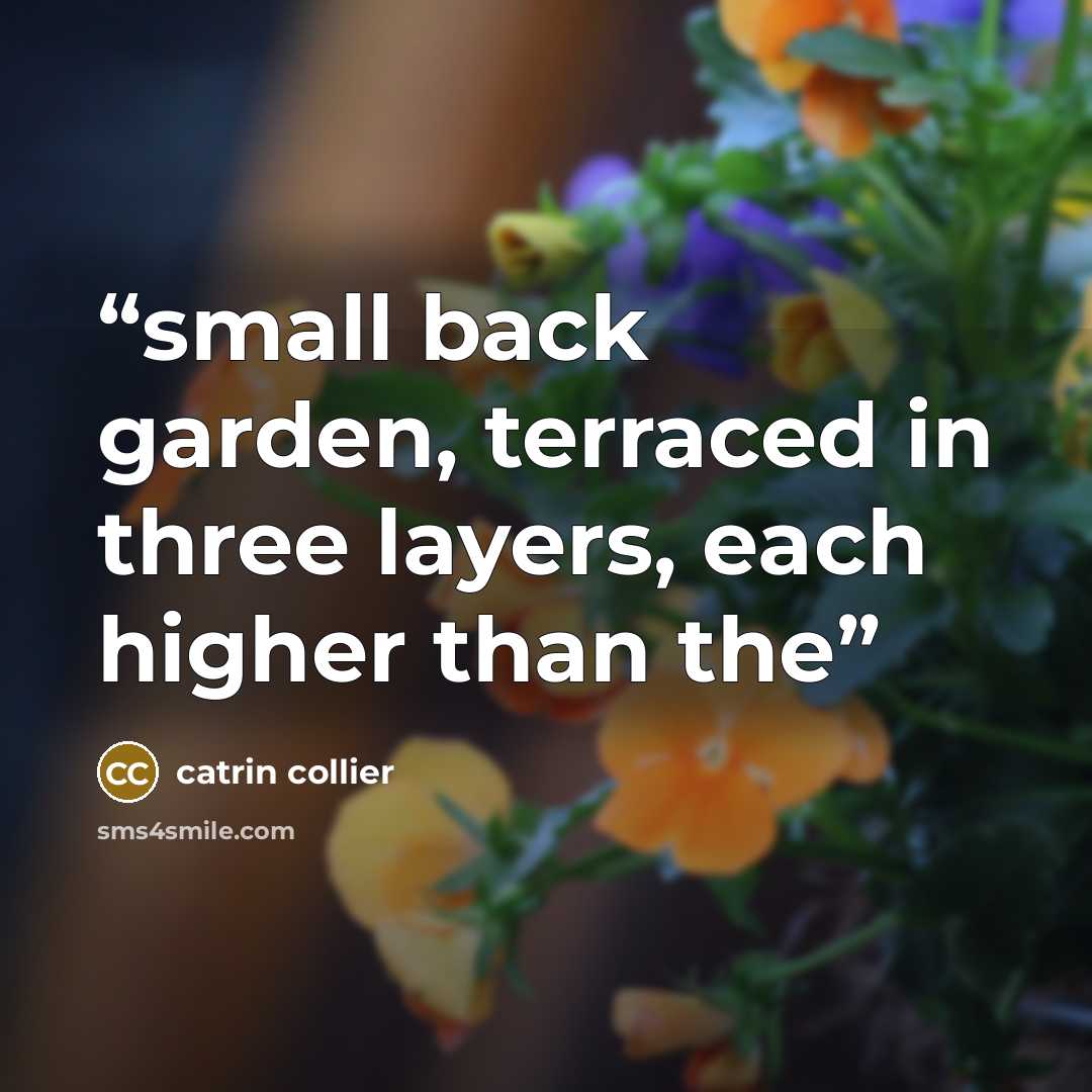 “small back garden, terraced in three layers, each higher than the” quote by Catrin Collier
