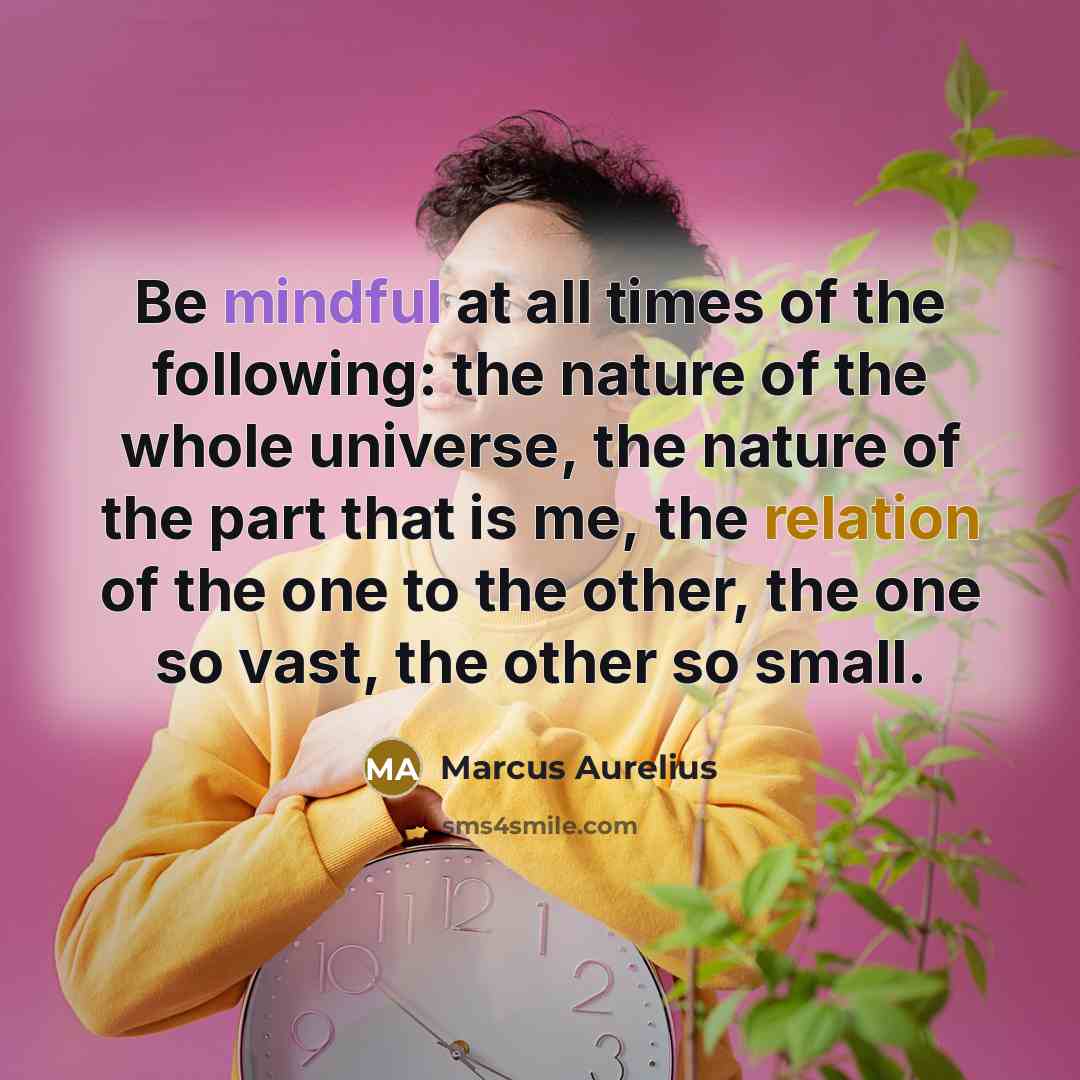 “Be mindful at all times of the following: the nature of the whole universe, the nature of the part that is me, the relation of the one to the other, the one so vast, the other so small.” quote by Marcus Aurelius