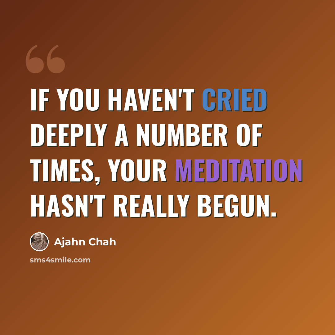 “If you haven't cried deeply a number of times, your meditation hasn't really begun.” quote by Ajahn Chah