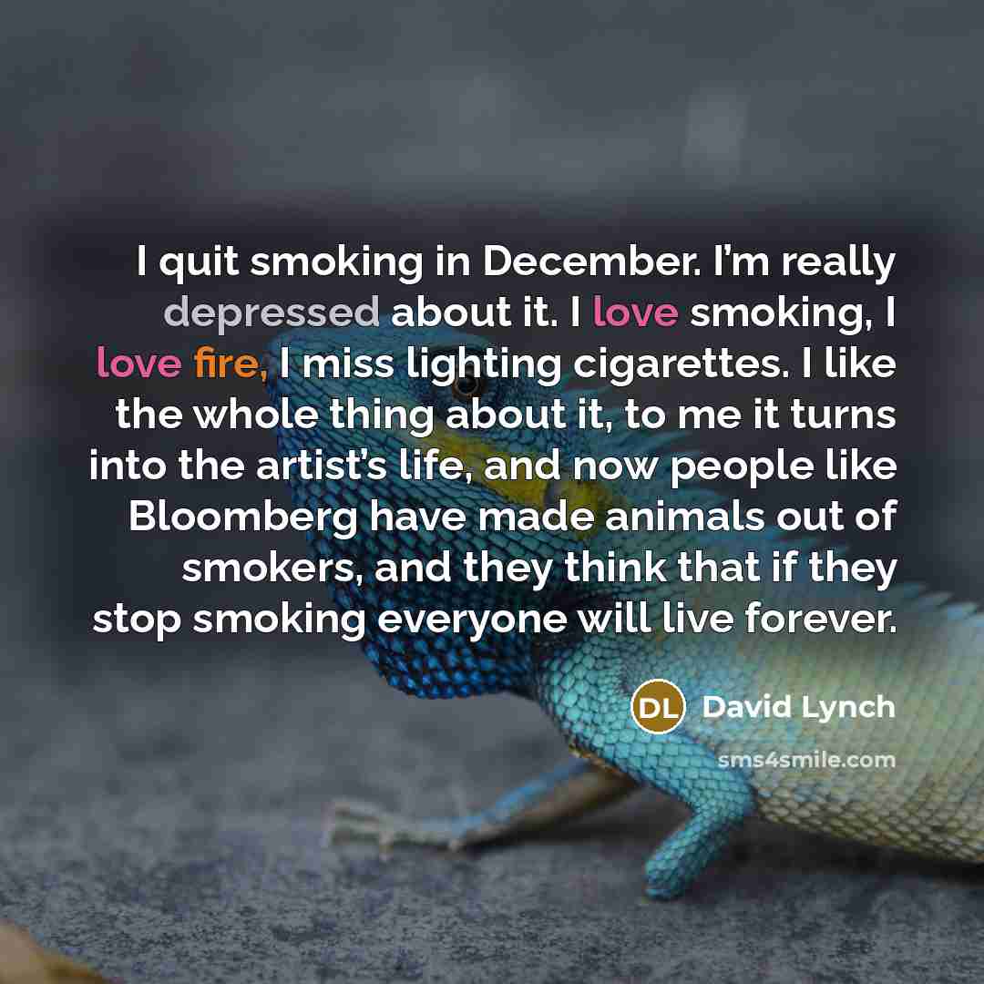 “I quit smoking in December. I’m really depressed about it. I love smoking, I love fire, I miss lighting cigarettes. I like the whole thing about it, to me it turns into the artist’s life, and now people like Bloomberg have made animals out of smokers, and they think that if they stop smoking…” quote by David Lynch