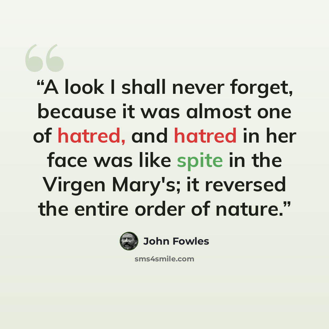 “A look I shall never forget, because it was almost one of hatred, and hatred in her face was like spite in the Virgen Mary's; it reversed the entire order of nature.” quote by John Fowles