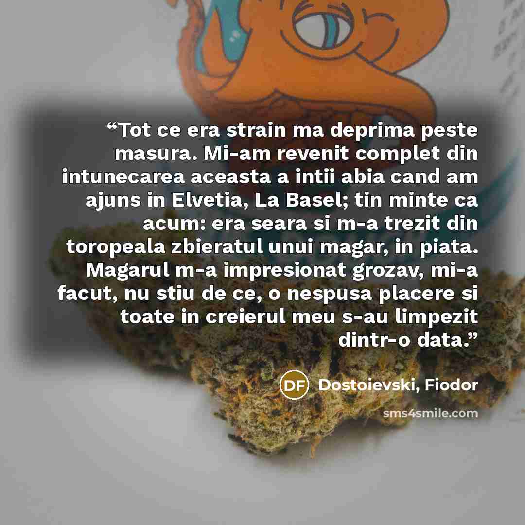 “Tot ce era strain ma deprima peste masura. Mi-am revenit complet din intunecarea aceasta a intii abia cand am ajuns in Elvetia, La Basel; tin minte ca acum: era seara si m-a trezit din toropeala zbieratul unui magar, in piata. Magarul m-a impresionat grozav, mi-a facut, nu stiu de ce, o nespusa…” quote by Dostoievski, Fiodor