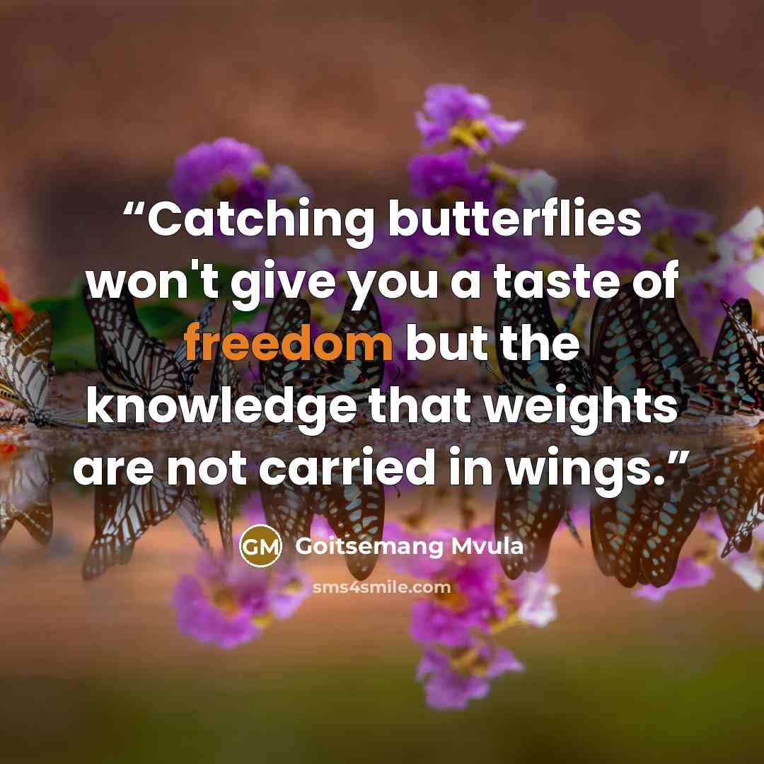 “Catching butterflies won't give you a taste of freedom but the knowledge that weights are not carried in wings.” quote by Goitsemang Mvula