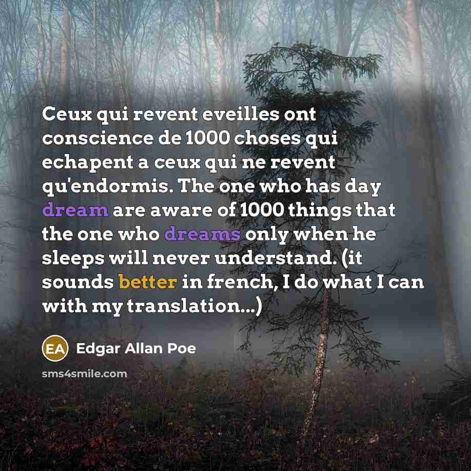 “Ceux qui revent eveilles ont conscience de 1000 choses qui echapent a ceux qui ne revent qu'endormis. The one who has day dream are aware of 1000 things that the one who dreams only when he sleeps will never understand. (it sounds better in french, I do what I can with my translation...)” quote by Edgar Allan Poe