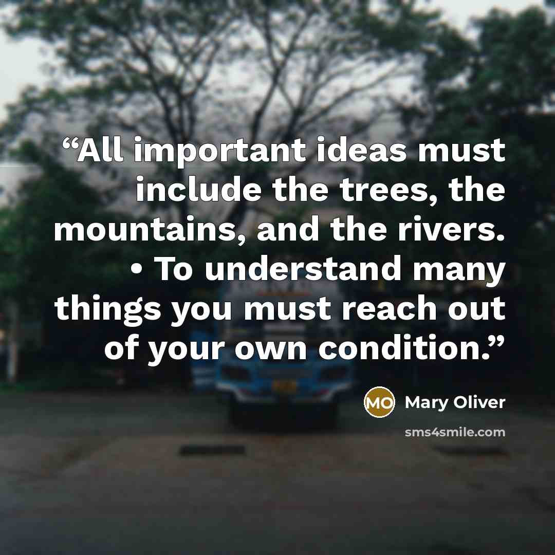 “All important ideas must include the trees, the mountains, and the rivers. • To understand many things you must reach out of your own condition.” quote by Mary Oliver