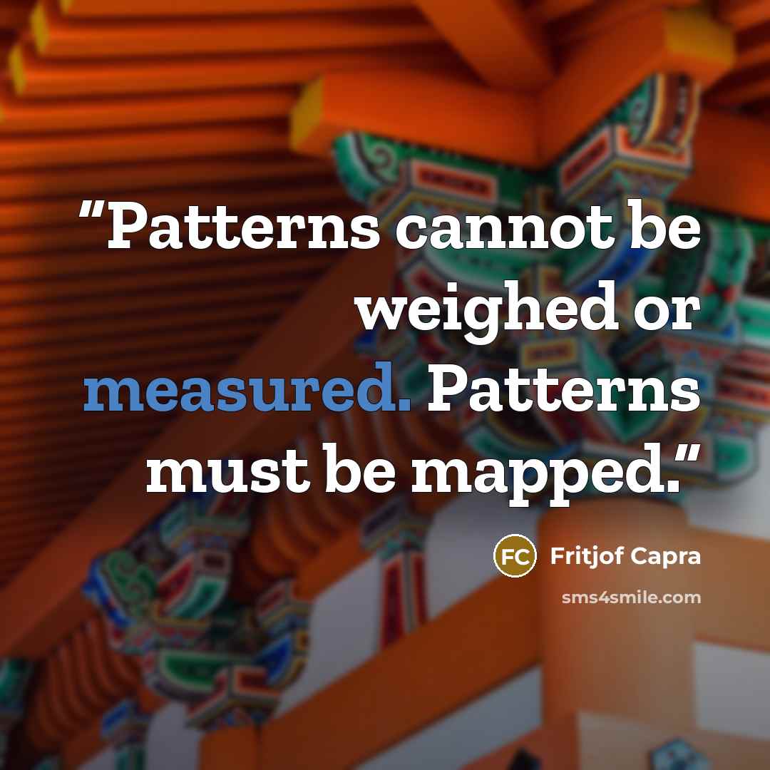 “Patterns cannot be weighed or measured. Patterns must be mapped.” quote by Fritjof Capra