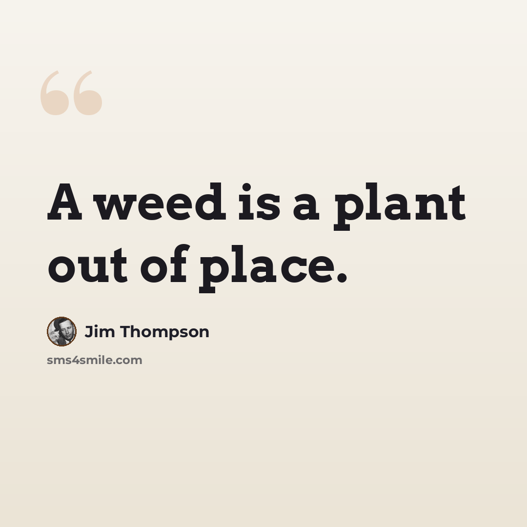 “A weed is a plant out of place.” quote by Jim Thompson