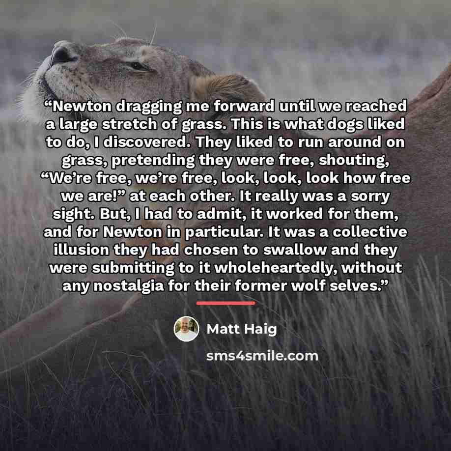 “Newton dragging me forward until we reached a large stretch of grass. This is what dogs liked to do, I discovered. They liked to run around on grass, pretending they were free, shouting, “We’re free, we’re free, look, look, look how free we are!” at each other. It really was a sorry sight. But, I…” quote by Matt Haig