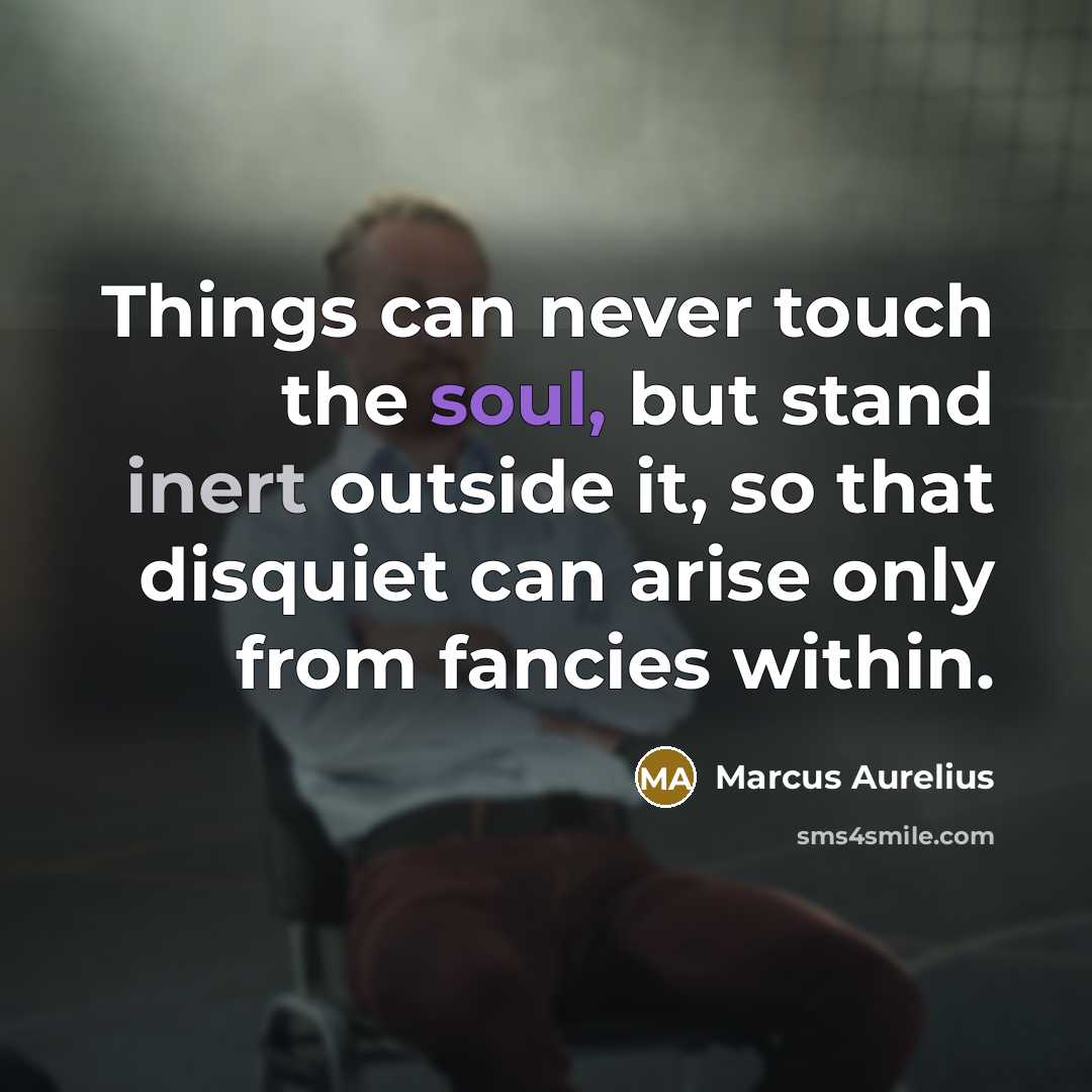 “Things can never touch the soul, but stand inert outside it, so that disquiet can arise only from fancies within.” quote by Marcus Aurelius