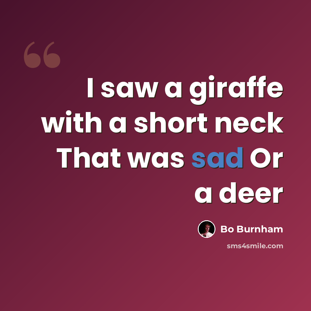“I saw a giraffe with a short neck That was sad Or a deer” quote by Bo Burnham