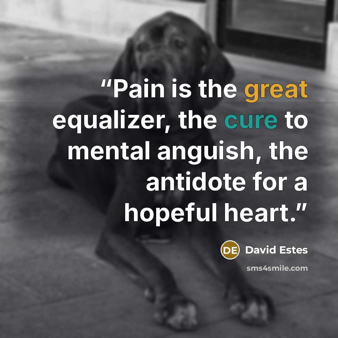 “Pain is the great equalizer, the cure to mental anguish, the antidote for a hopeful heart.” quote by David Estes