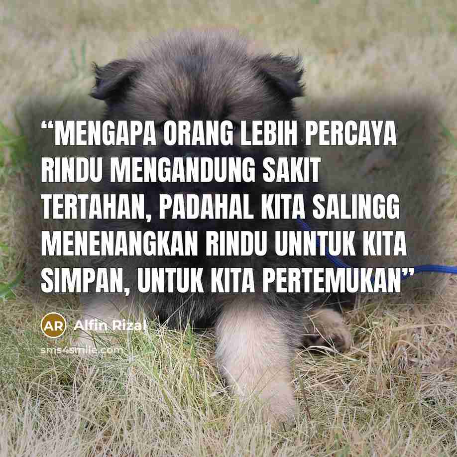 “Mengapa orang lebih percaya rindu mengandung sakit tertahan, padahal kita salingg menenangkan rindu unntuk kita simpan, untuk kita pertemukan” quote by Alfin Rizal