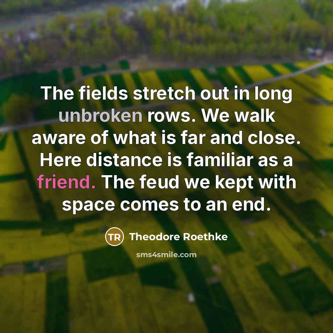 “The fields stretch out in long unbroken rows. We walk aware of what is far and close. Here distance is familiar as a friend. The feud we kept with space comes to an end.” quote by Theodore Roethke