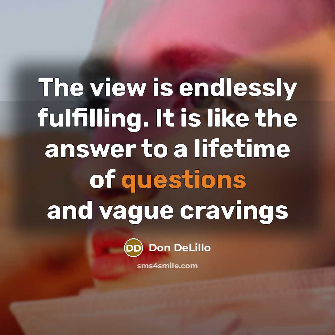 “The view is endlessly fulfilling. It is like the answer to a lifetime of questions and vague cravings” quote by Don DeLillo