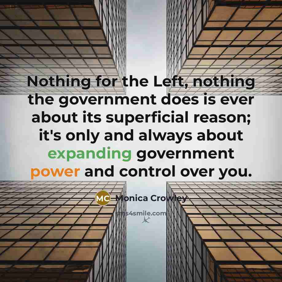 “Nothing for the Left, nothing the government does is ever about its superficial reason; it's only and always about expanding government power and control over you.” quote by Monica Crowley