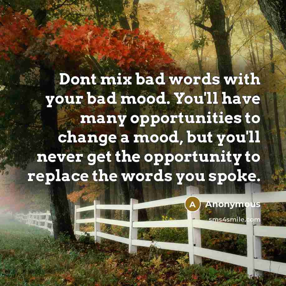 “Dont mix bad words with your bad mood. You'll have many opportunities to change a mood, but you'll never get the opportunity to replace the words you spoke.” quote by Anonymous