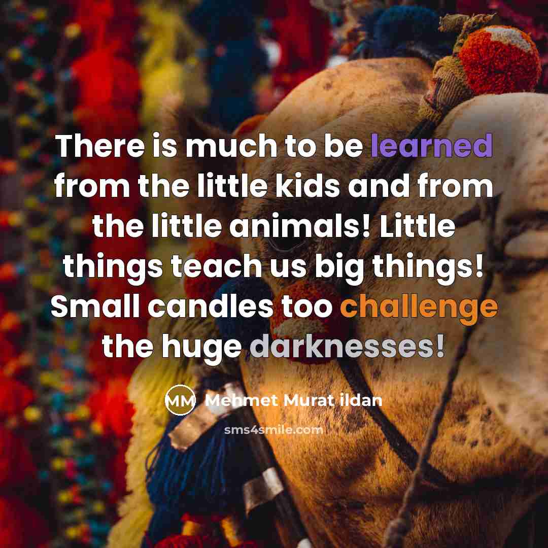 “There is much to be learned from the little kids and from the little animals! Little things teach us big things! Small candles too challenge the huge darknesses!” quote by Mehmet Murat Ildan
