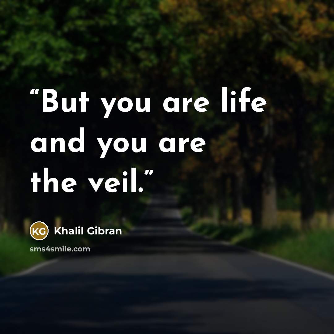 “But you are life and you are the veil.” quote by Khalil Gibran