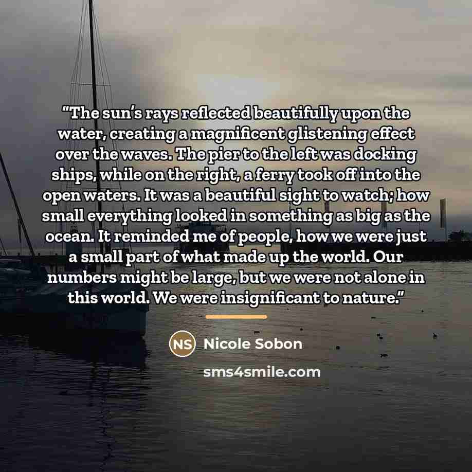 “The sun’s rays reflected beautifully upon the water, creating a magnificent glistening effect over the waves. The pier to the left was docking ships, while on the right, a ferry took off into the open waters. It was a beautiful sight to watch; how small everything looked in something as big as the…” quote by Nicole Sobon