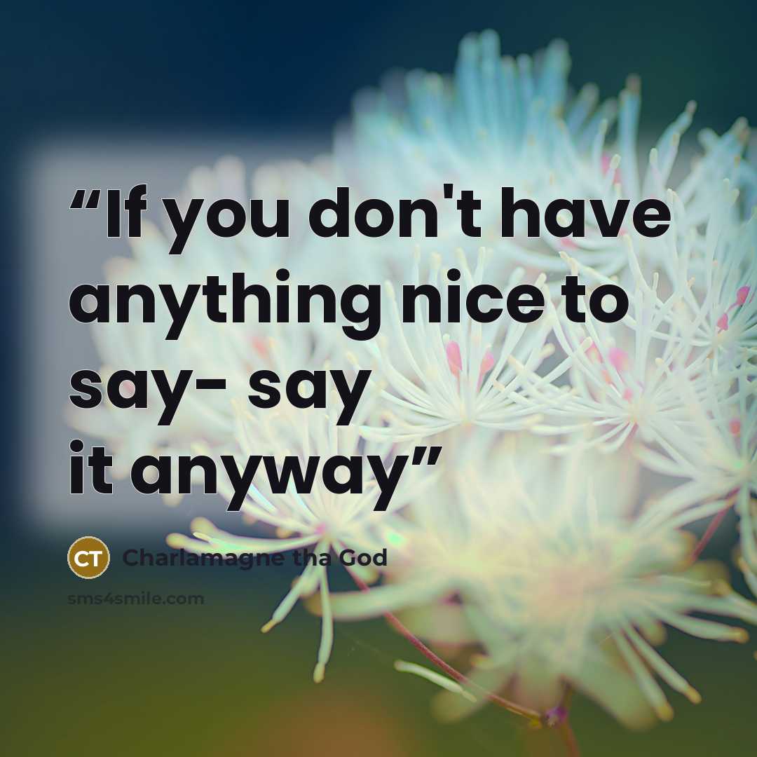 “If you don't have anything nice to say- say it anyway” quote by Charlamagne Tha God