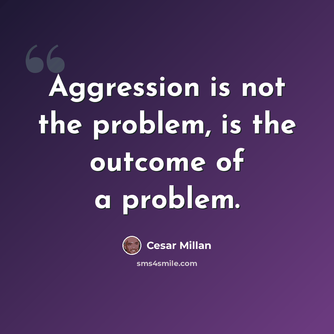 “Aggression is not the problem, is the outcome of a problem.” quote by Cesar Millan