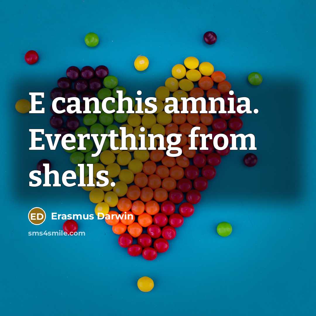 “E canchis amnia. Everything from shells.” quote by Erasmus Darwin