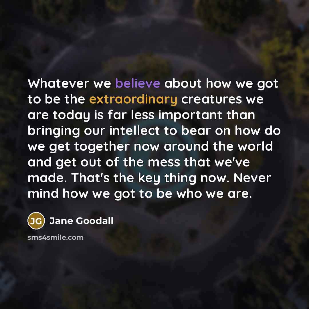 “Whatever we believe about how we got to be the extraordinary creatures we are today is far less important than bringing our intellect to bear on how do we get together now around the world and get out of the mess that we've made. That's the key thing now. Never mind how we got to be who we are.” quote by Jane Goodall