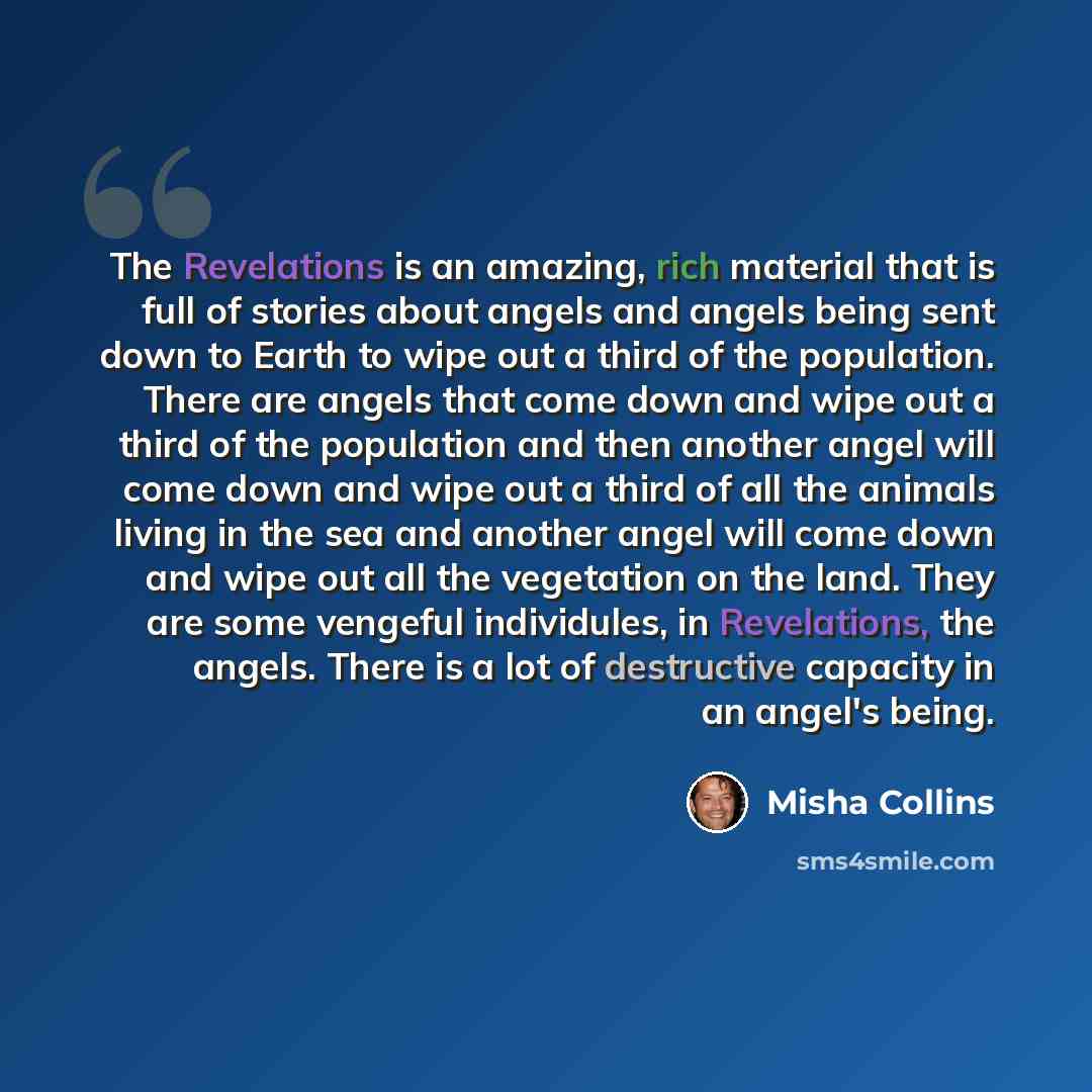 “The Revelations is an amazing, rich material that is full of stories about angels and angels being sent down to Earth to wipe out a third of the population. There are angels that come down and wipe out a third of the population and then another angel will come down and wipe out a third of all the…” quote by Misha Collins