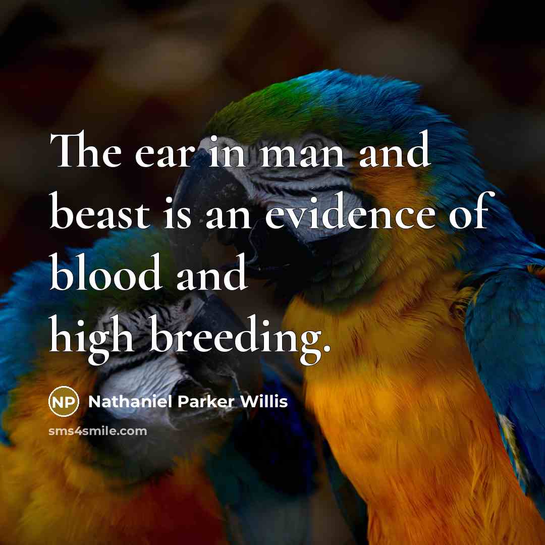 “The ear in man and beast is an evidence of blood and high breeding.” quote by Nathaniel Parker Willis