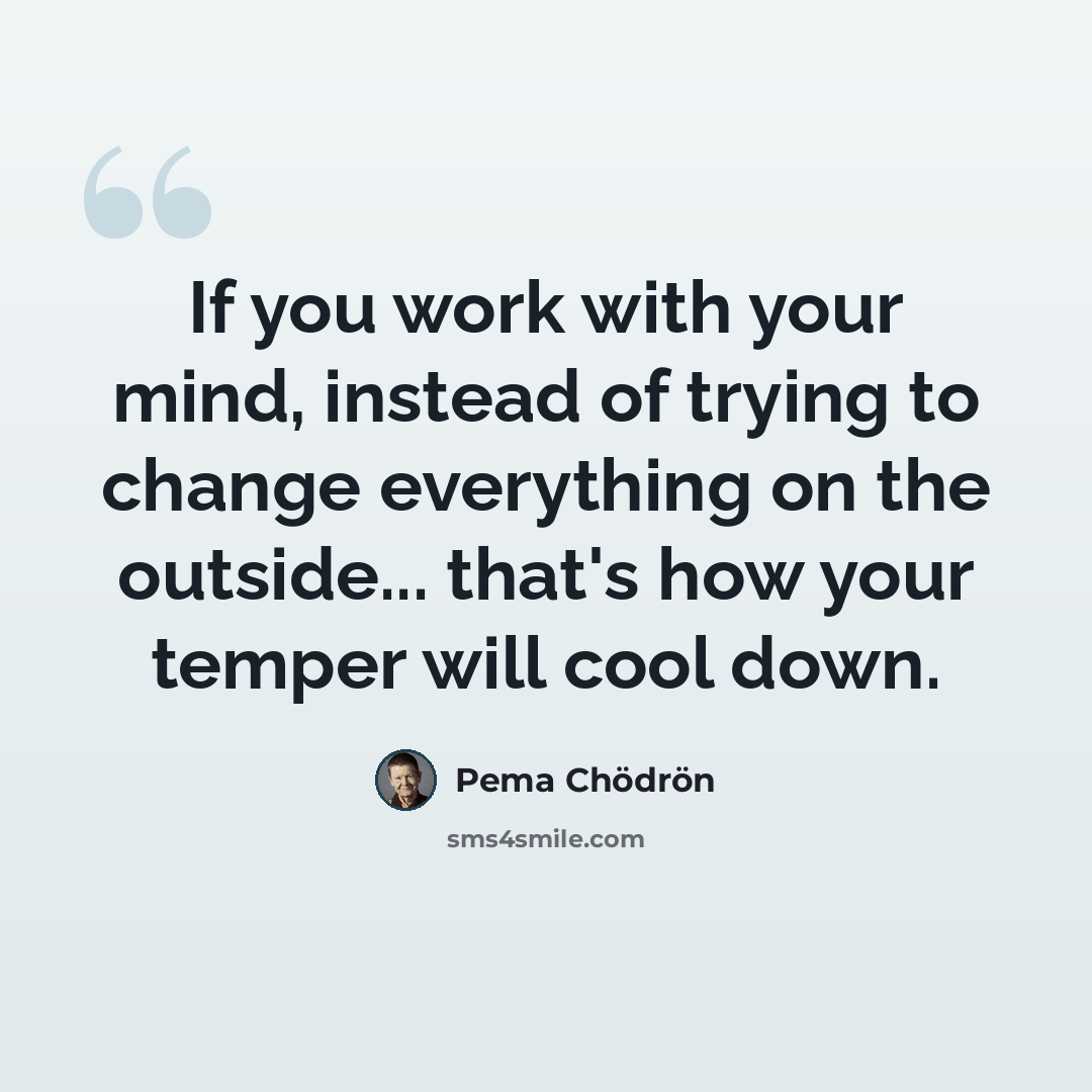 “If you work with your mind, instead of trying to change everything on the outside... that's how your temper will cool down.” quote by Pema Chodron