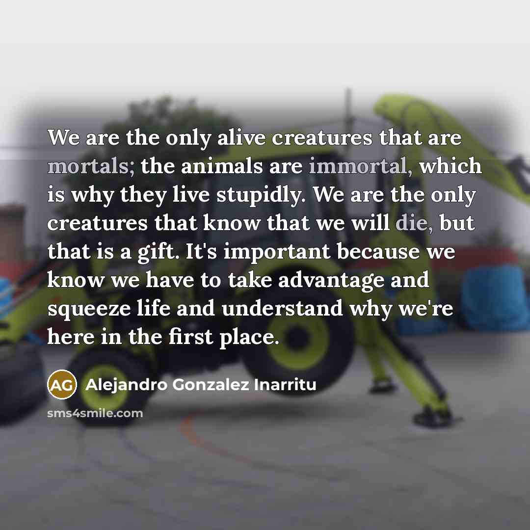 “We are the only alive creatures that are mortals; the animals are immortal, which is why they live stupidly. We are the only creatures that know that we will die, but that is a gift. It's important because we know we have to take advantage and squeeze life and understand why we're here in the…” quote by Alejandro Gonzalez Inarritu