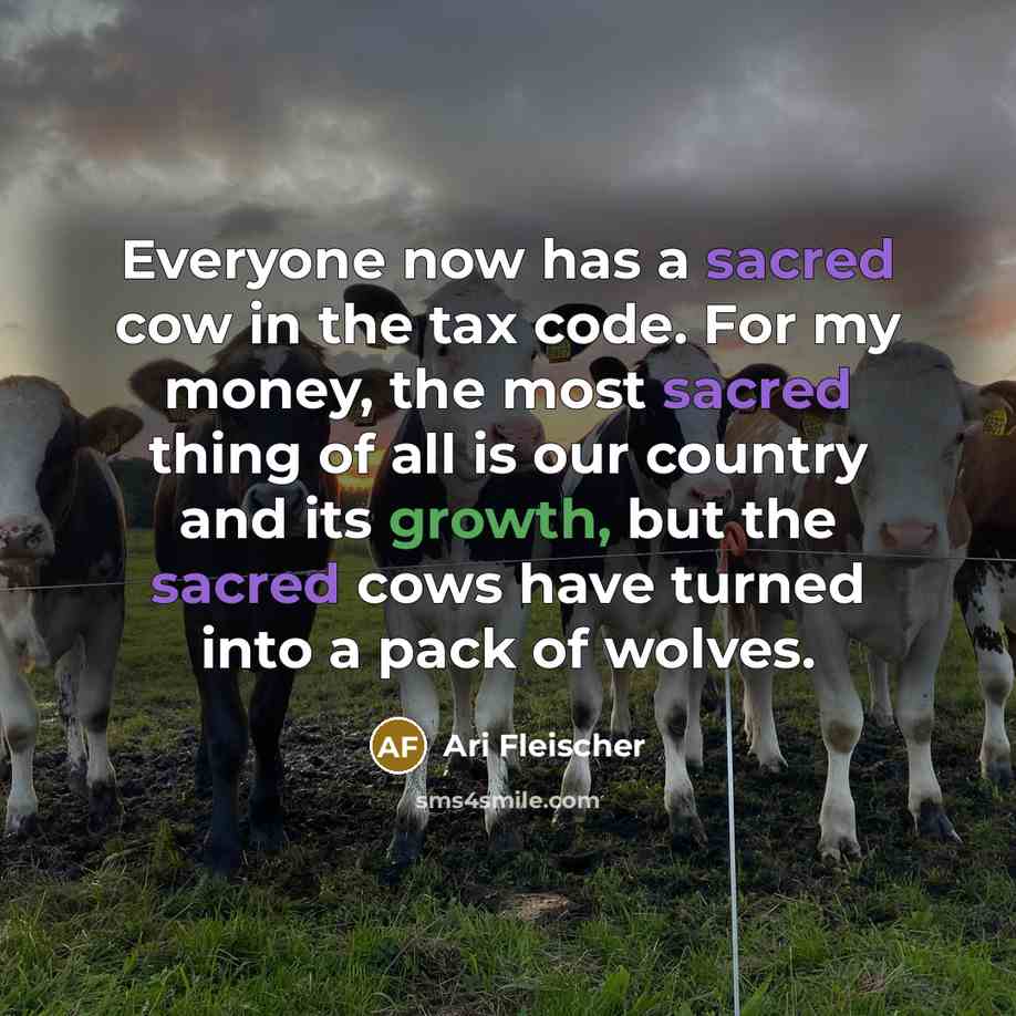 “Everyone now has a sacred cow in the tax code. For my money, the most sacred thing of all is our country and its growth, but the sacred cows have turned into a pack of wolves.” quote by Ari Fleischer