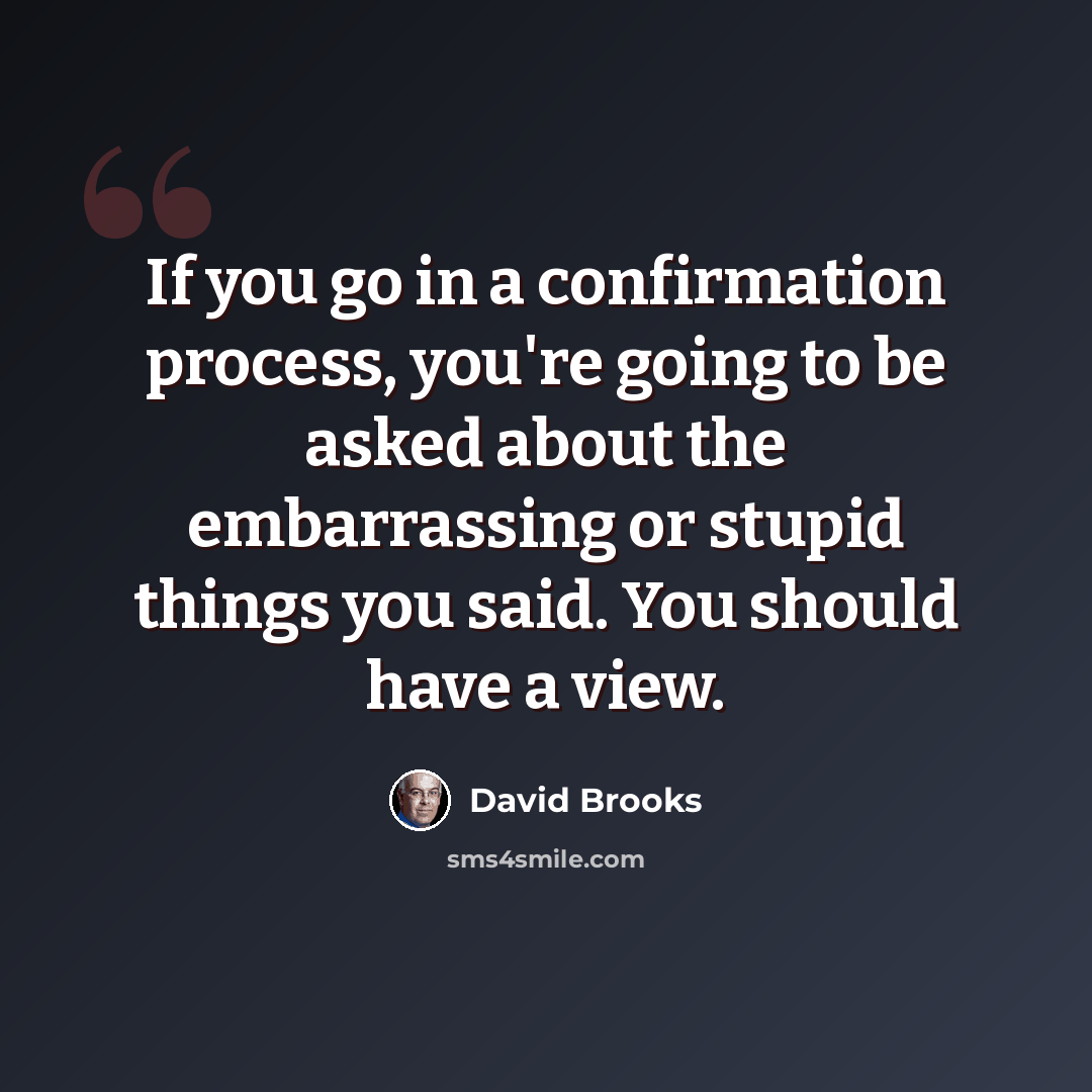 “If you go in a confirmation process, you're going to be asked about the embarrassing or stupid things you said. You should have a view.” quote by David Brooks