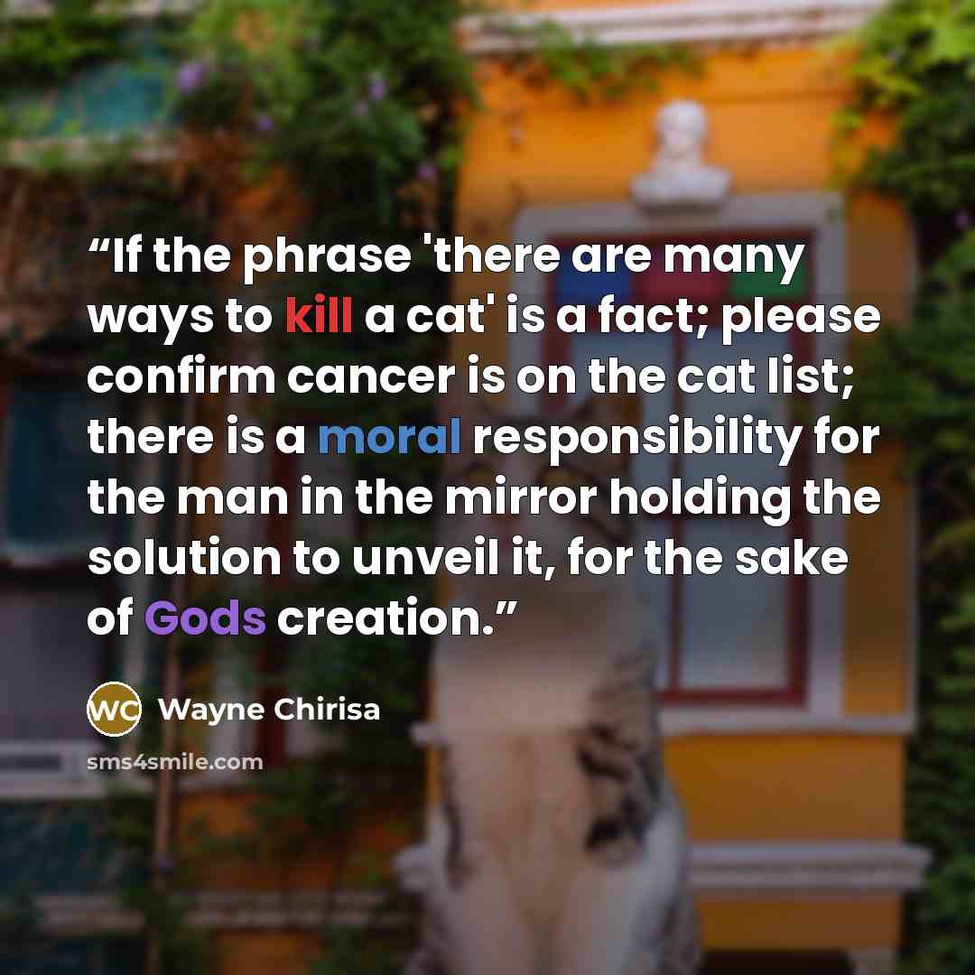 “If the phrase 'there are many ways to kill a cat' is a fact; please confirm cancer is on the cat list; there is a moral responsibility for the man in the mirror holding the solution to unveil it, for the sake of Gods creation.” quote by Wayne Chirisa