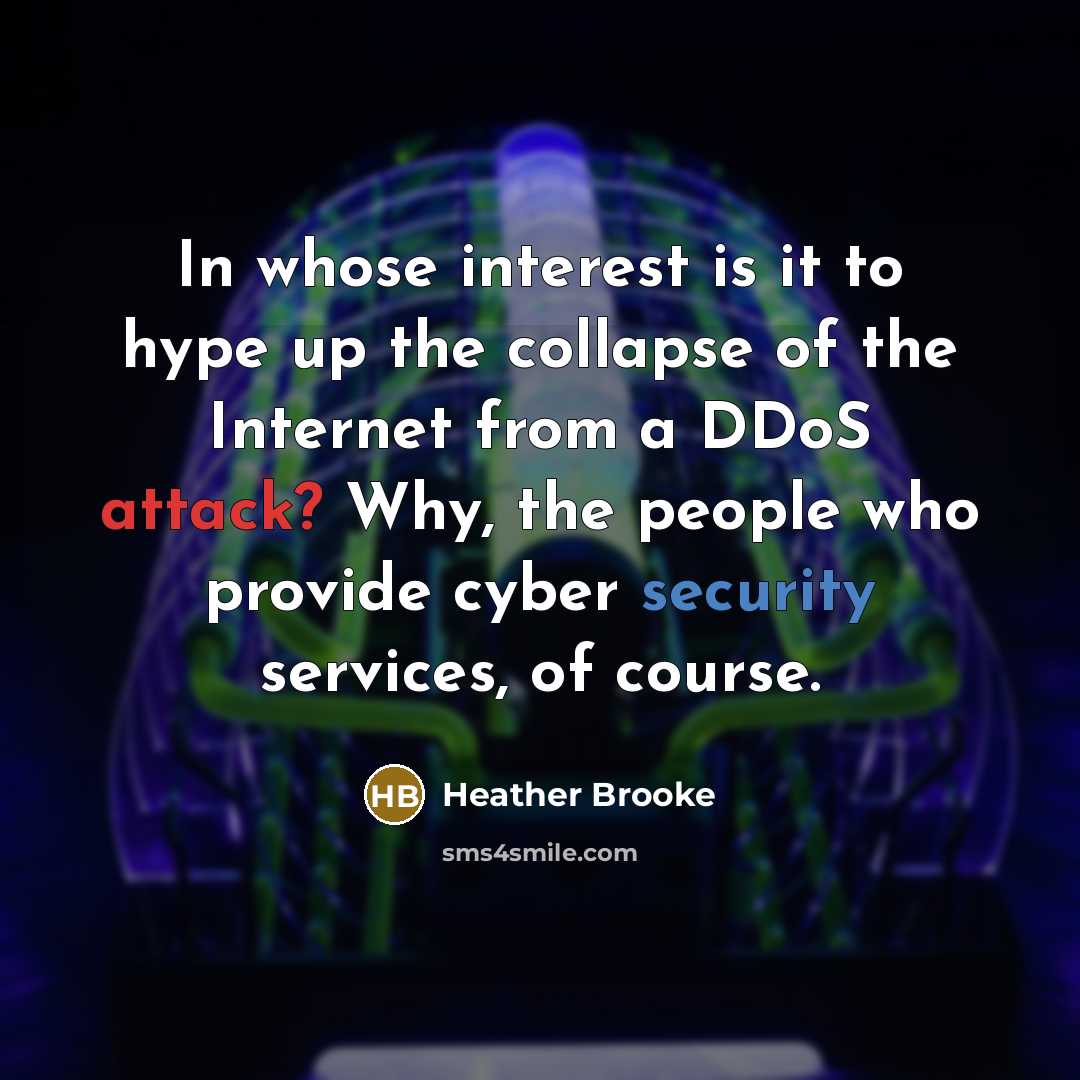 “In whose interest is it to hype up the collapse of the Internet from a DDoS attack? Why, the people who provide cyber security services, of course.” quote by Heather Brooke