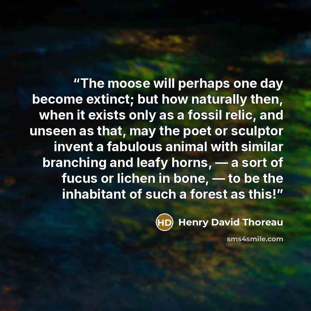 “The moose will perhaps one day become extinct; but how naturally then, when it exists only as a fossil relic, and unseen as that, may the poet or sculptor invent a fabulous animal with similar branching and leafy horns, — a sort of fucus or lichen in bone, — to be the inhabitant of such a forest…” quote by Henry David Thoreau