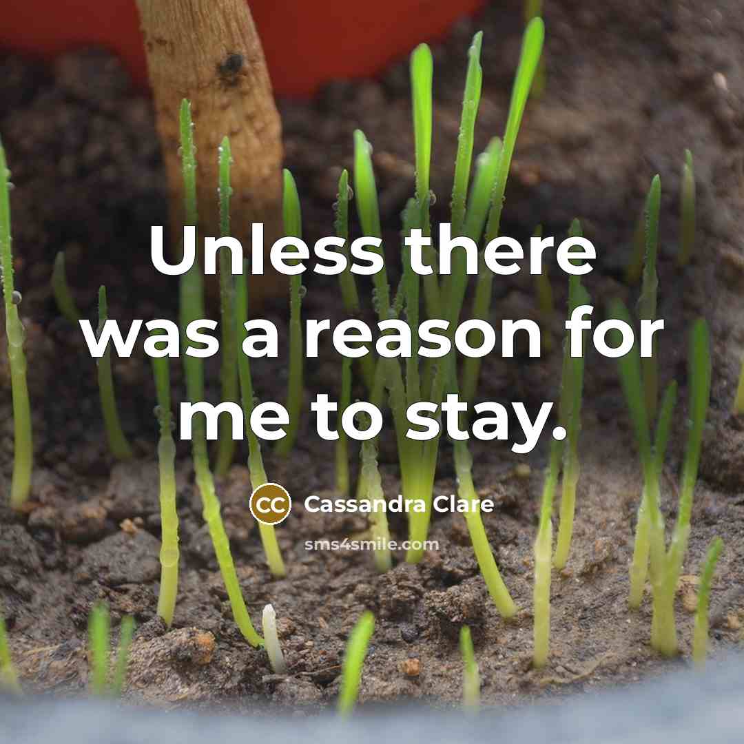 “Unless there was a reason for me to stay.” quote by Cassandra Clare