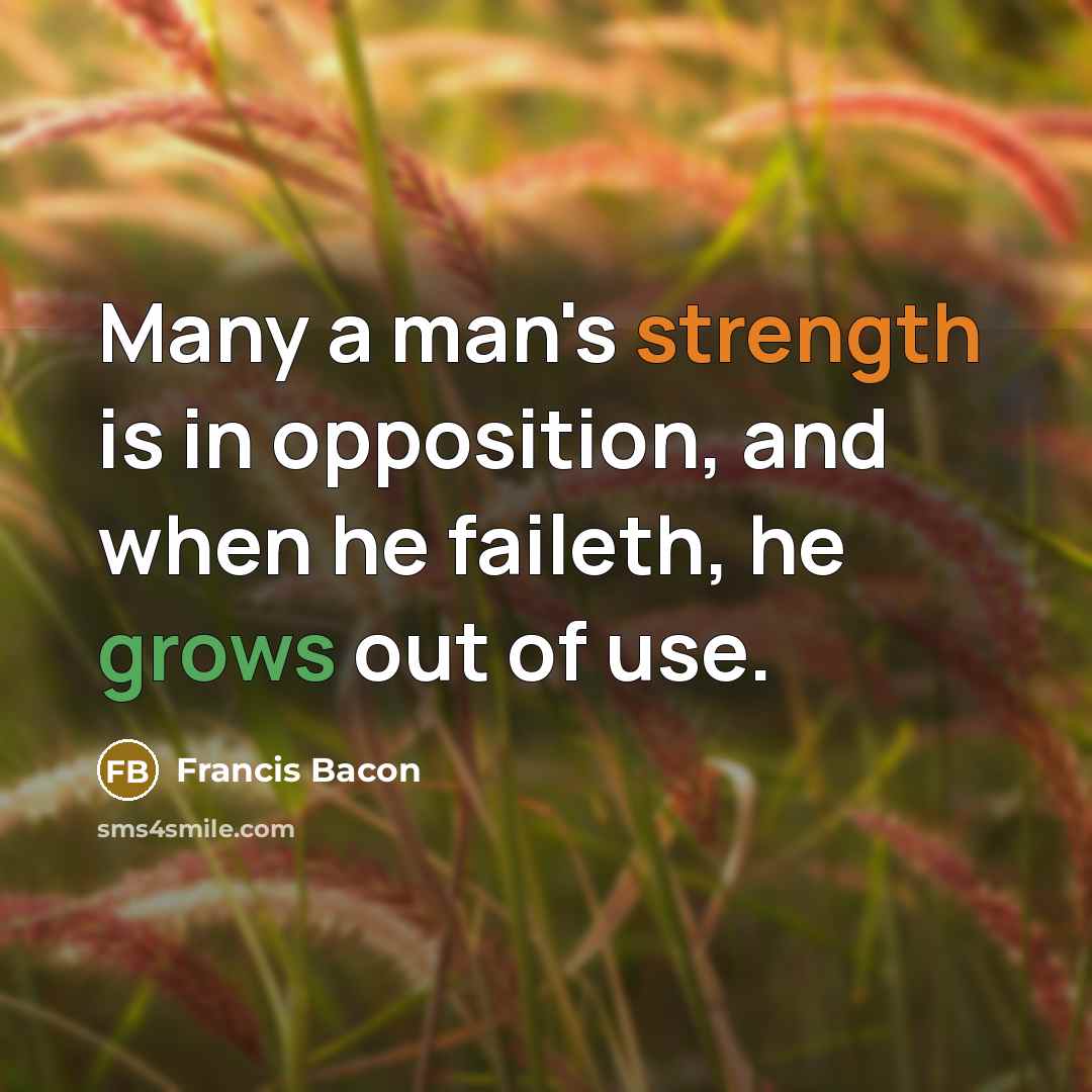 “Many a man's strength is in opposition, and when he faileth, he grows out of use.” quote by Francis Bacon