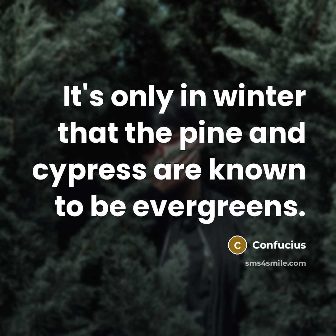 “It's only in winter that the pine and cypress are known to be evergreens.” quote by Confucius