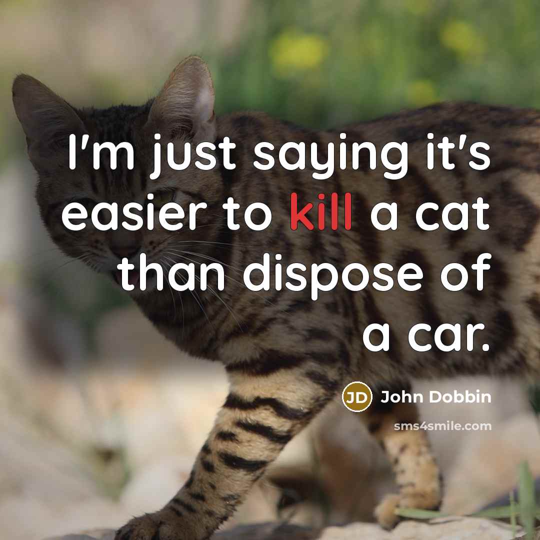 “I'm just saying it's easier to kill a cat than dispose of a car.” quote by John Dobbin