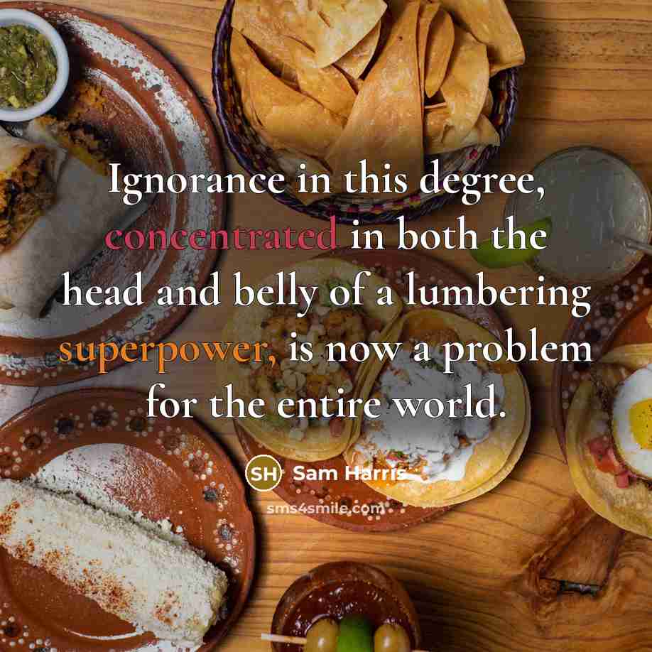“Ignorance in this degree, concentrated in both the head and belly of a lumbering superpower, is now a problem for the entire world.” quote by Sam Harris