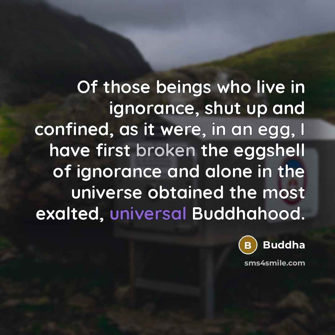 “Of those beings who live in ignorance, shut up and confined, as it were, in an egg, I have first broken the eggshell of ignorance and alone in the universe obtained the most exalted, universal Buddhahood.” quote by Buddha