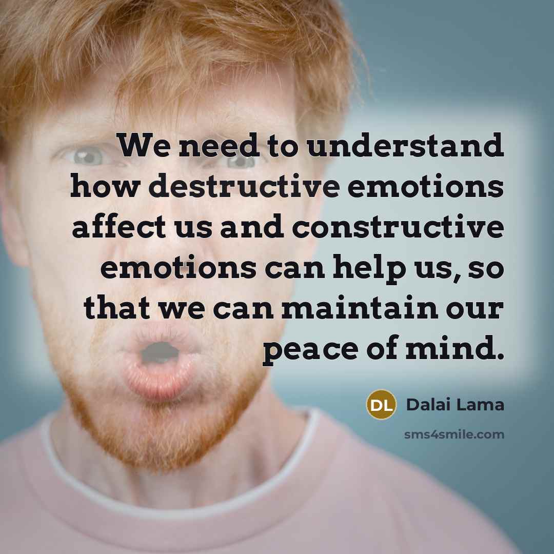 “We need to understand how destructive emotions affect us and constructive emotions can help us, so that we can maintain our peace of mind.” quote by Dalai Lama