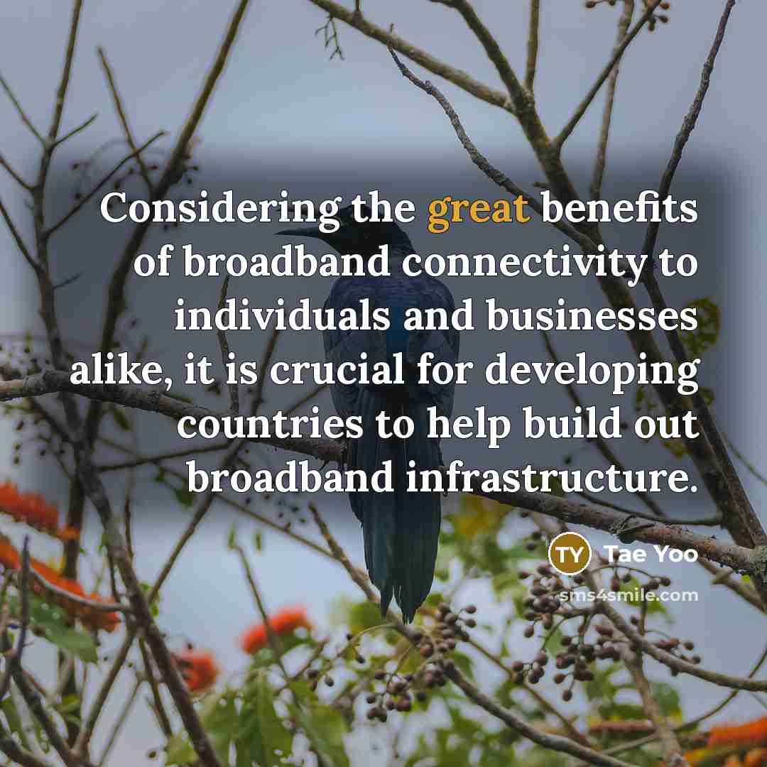 “Considering the great benefits of broadband connectivity to individuals and businesses alike, it is crucial for developing countries to help build out broadband infrastructure.” quote by Tae Yoo