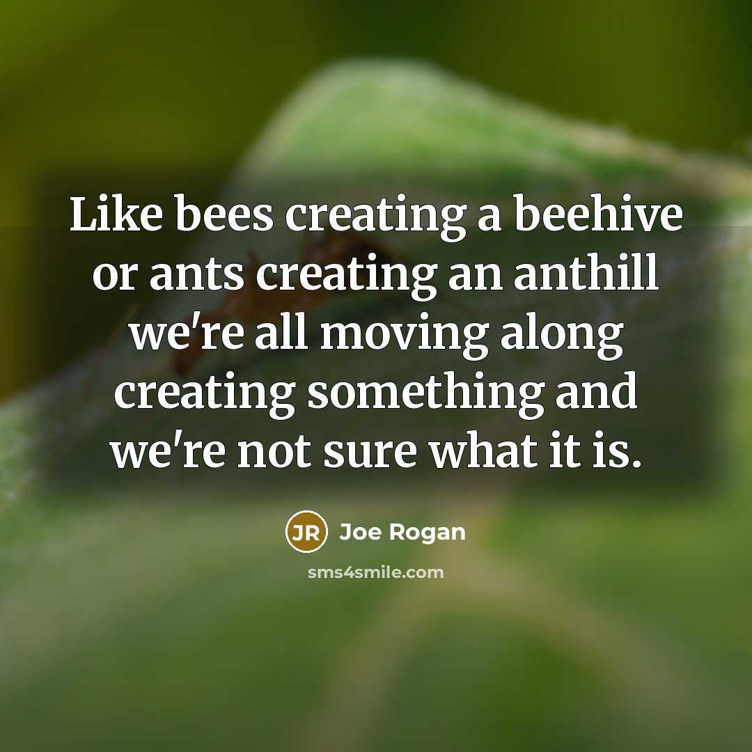 “Like bees creating a beehive or ants creating an anthill we're all moving along creating something and we're not sure what it is.” quote by Joe Rogan